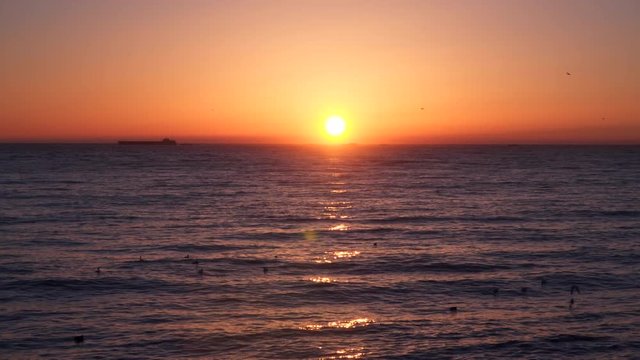 Dawn above the sea. On the horizon are visible Cargo ships, sea birds swim