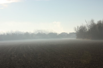 Morning fog landscape