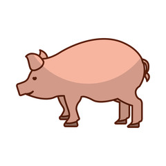 pork meat butchery icon vector illustration design