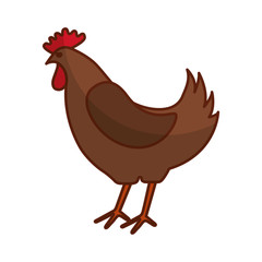 chicken meat butchery icon vector illustration design