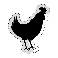 chicken meat butchery icon vector illustration design