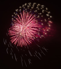 Wonderful colorful fireworks and salute of various colors in the
