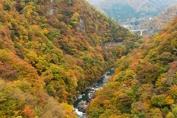 Kinugawa in autumn