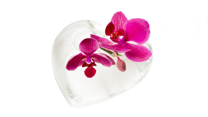 Fototapeta na wymiar Orchidee mit Gläsernem Herz isoliert vor weißem Hintergrund