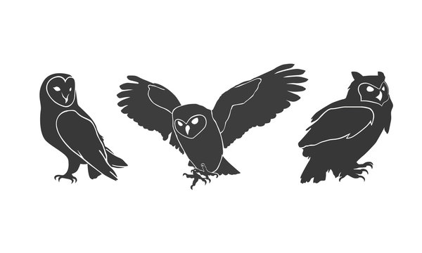 owl silhouettes on the white background