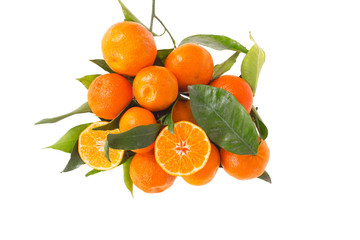 Branch of tangerines/ mandarins on white