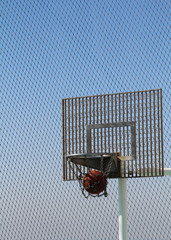 Basketball landet im Korb