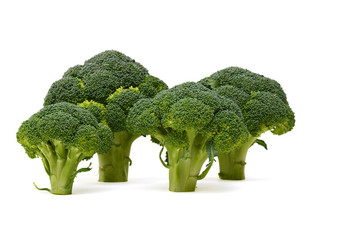 fresh broccoli on the white background