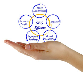 SEO Effects