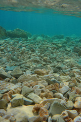 Underwater view of bottom.