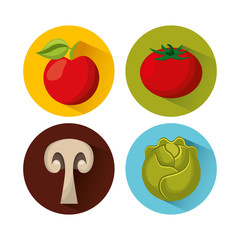 healthy food isolated icon vector illustration design
