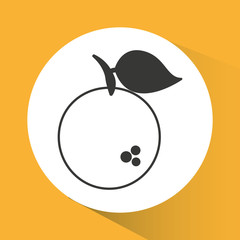 orange fresh fruit drawing icon vector illustration design