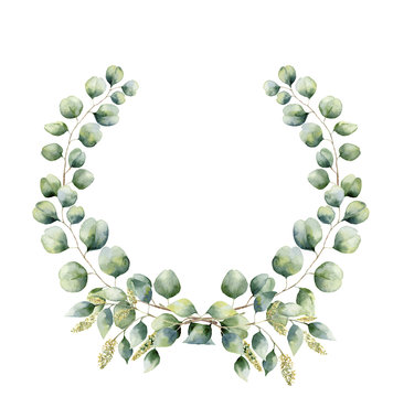 Watercolor floral wreath with green eucalyptus leaves. Hand painted floral wreath with branches, leaves of seeded and silver dollar eucalyptus isolated on white background. For design or background
