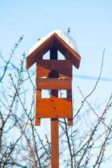 nesting box