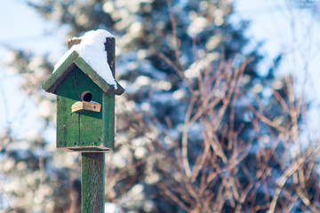 nesting box