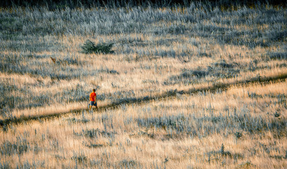 alone in the field