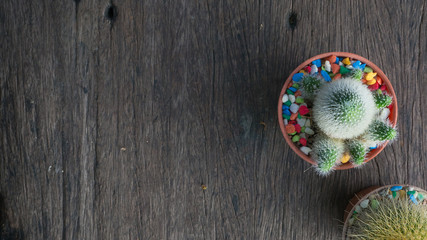 wood texture background