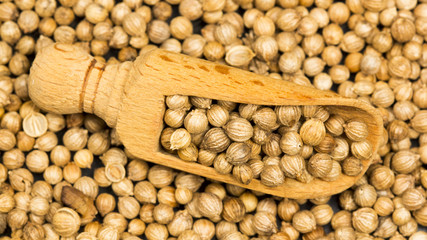 Coriander seeds with wooden spoon on black background