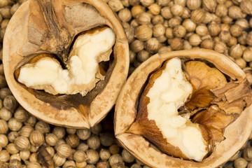 Coriander seeds with halves of walnut