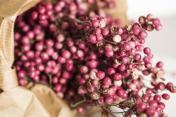 Rosa Pfefferbeerenstrauch, Rosa Pfeffer