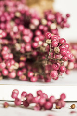 Rosa Pfefferbeerenstrauch, Rosa Pfeffer