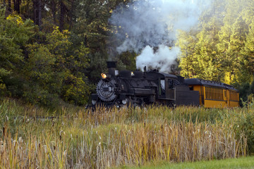 Obraz na płótnie Canvas Railroad Train