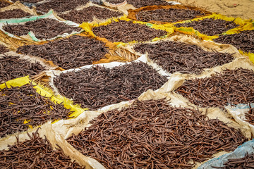 Drying vanilla in Madagascar - obrazy, fototapety, plakaty