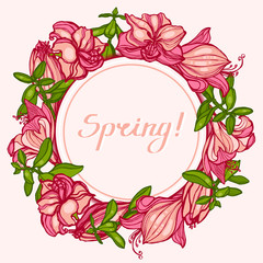 Spring! Round frame with flowers Amaryllis, Hippeastrum and succulents Crassula. Congratulations, invitation card. Hand drawn. Vector illustration.