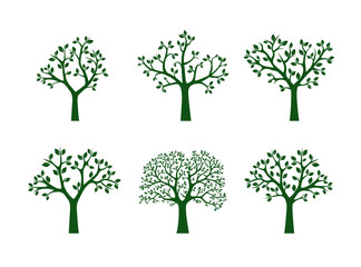 Fototapeta premium Collection of Green Trees. Vector Illustration.