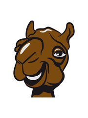 Camel laughing funny