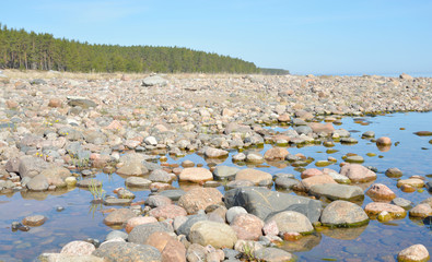 Beach on Ladoga lake at morning.
