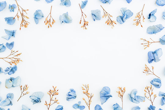 Fototapeta Frame of blue flowers isolated on background. Flat lay. Top view.
