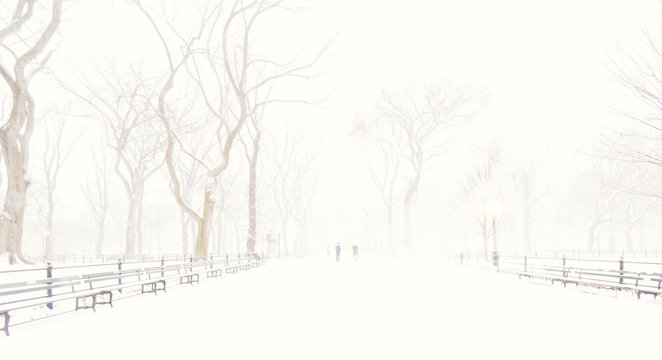 Central Park, New York City