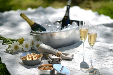 Luxury picnic