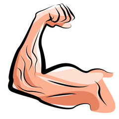 Mięśnie / biceps - obrazy, fototapety, plakaty