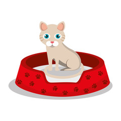 Obraz premium cat pet shop icon vector illustration design