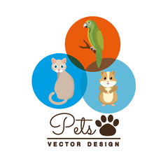 pet shop center icon vector illustration design