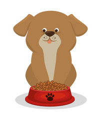dog pet shop icon vector illustration design