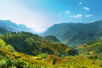 Rice fields on terraced of Mu Cang Chai, YenBai, Vietnam. Vietnam landscapes.