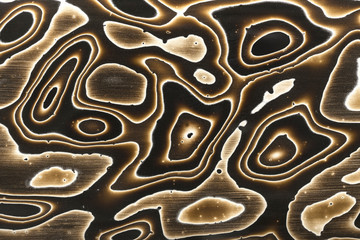 Abstract wood lacque background