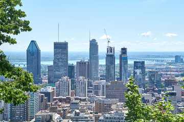 scenic view of summer Montreal