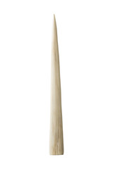 Obraz premium Ivory tusk on white background