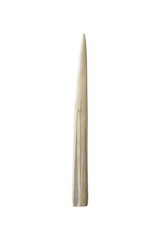 Ivory tusk on white background