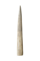 Ivory tusk on white background