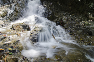 Fototapeta premium beautiful nature,cascaded tropical river flowing through over w