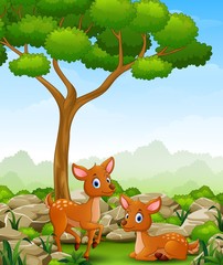 Obraz na płótnie Canvas Cartoon two deer in the jungle