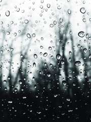 Raindrops on Window in front of Trees - 131845379