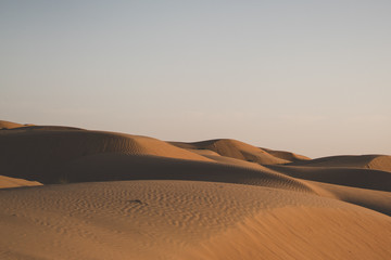 Fototapeta na wymiar Wahiba Sand desert in Oman