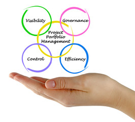 Project Portfolio Management