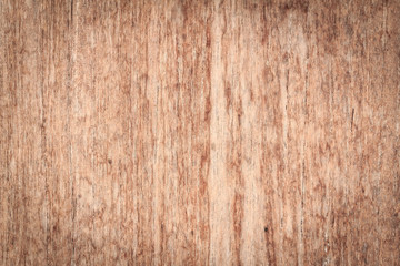 Obraz premium Wood texture, wood background for design with copy space for text or image. Wood motifs that occurs natural.